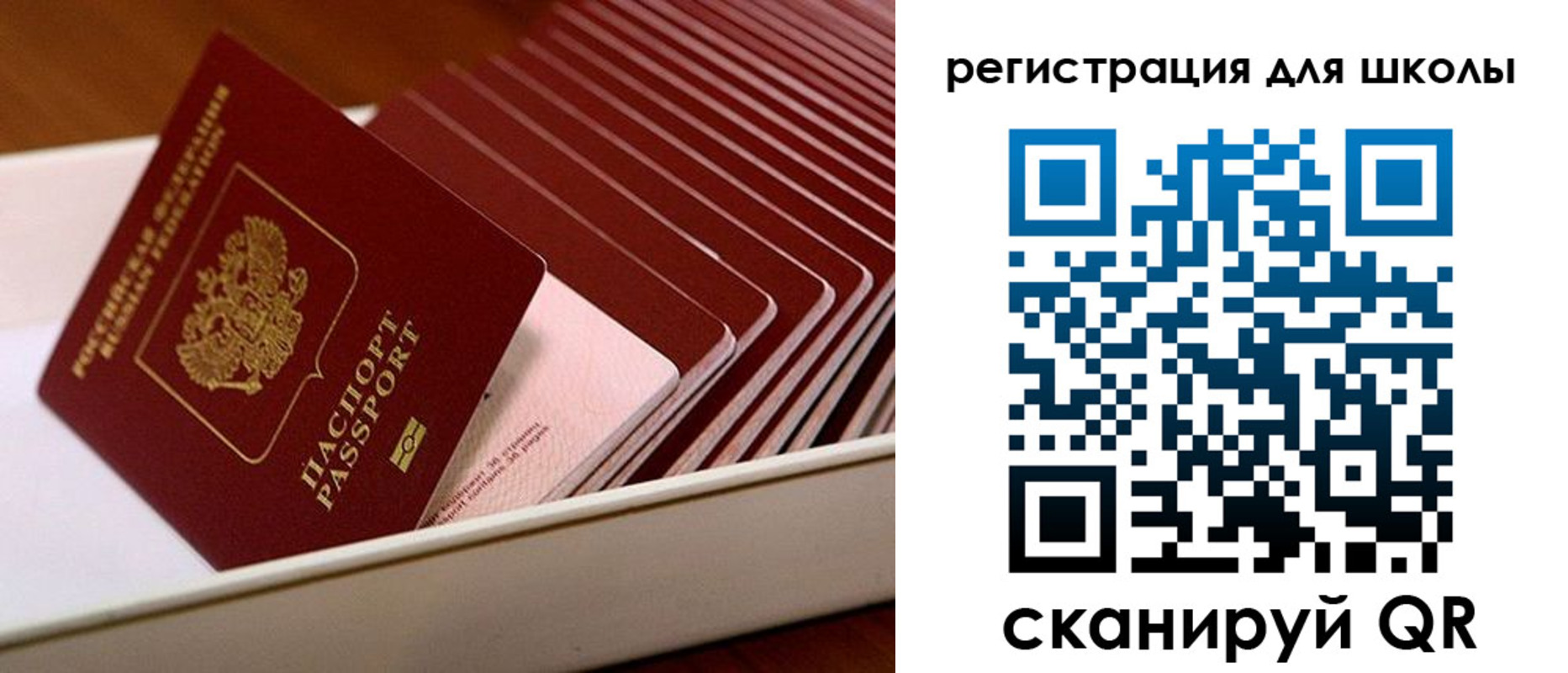 прописка гарантия в Новоульяновске